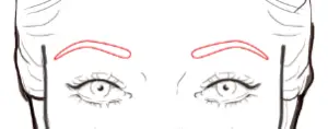 Eyebrows Heart Shaped Face