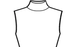 Sketch of a Turtle Neckline